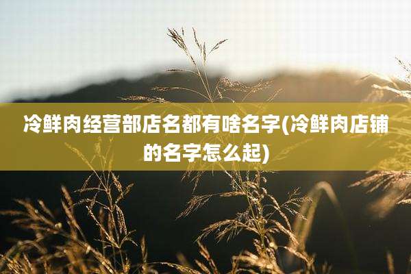 冷鲜肉经营部店名都有啥名字(冷鲜肉店铺的名字怎么起)