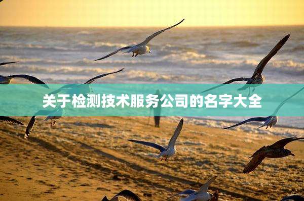 关于检测技术服务公司的名字大全