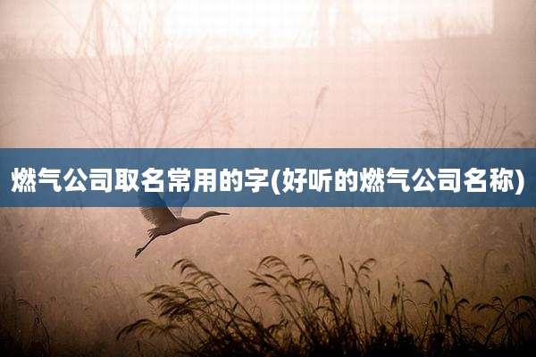 燃气公司取名常用的字(好听的燃气公司名称)
