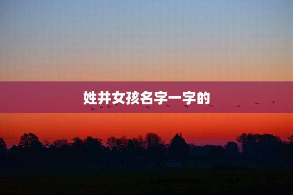 姓井女孩名字一字的