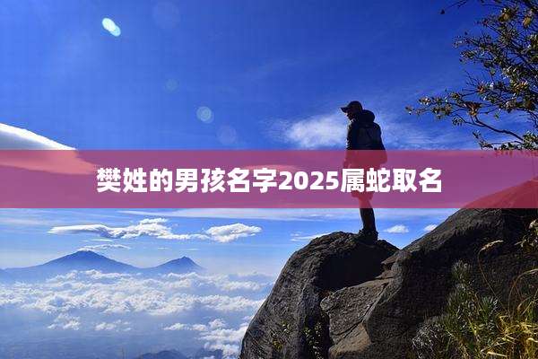 樊姓的男孩名字2025属蛇取名