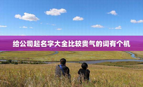 给公司起名字大全比较贵气的词有个机