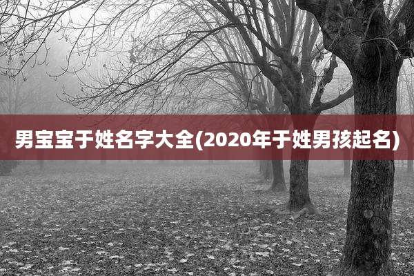 男宝宝于姓名字大全(2020年于姓男孩起名)