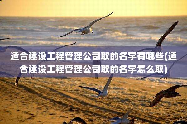 适合建设工程管理公司取的名字有哪些(适合建设工程管理公司取的名字怎么取)