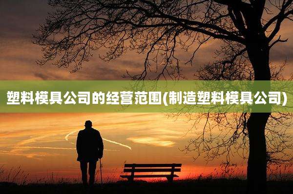 塑料模具公司的经营范围(制造塑料模具公司)