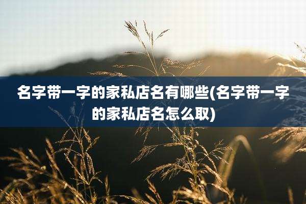 名字带一字的家私店名有哪些(名字带一字的家私店名怎么取)