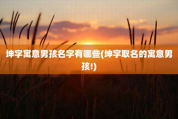 坤字寓意男孩名字有哪些(坤字取名的寓意男孩!)