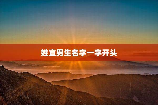 姓宣男生名字一字开头
