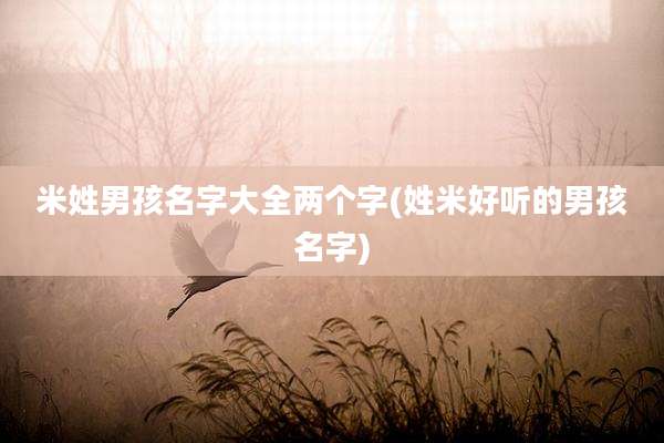 米姓男孩名字大全两个字(姓米好听的男孩名字)