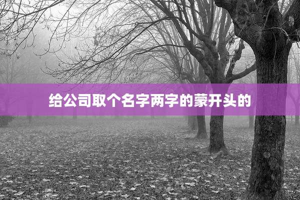 给公司取个名字两字的蒙开头的