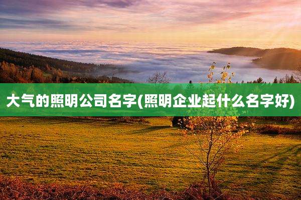 大气的照明公司名字(照明企业起什么名字好)