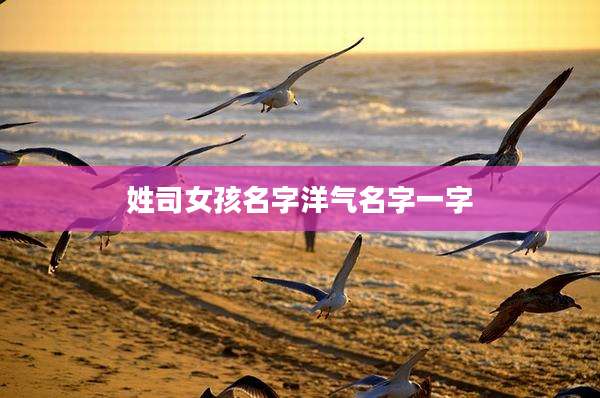 姓司女孩名字洋气名字一字