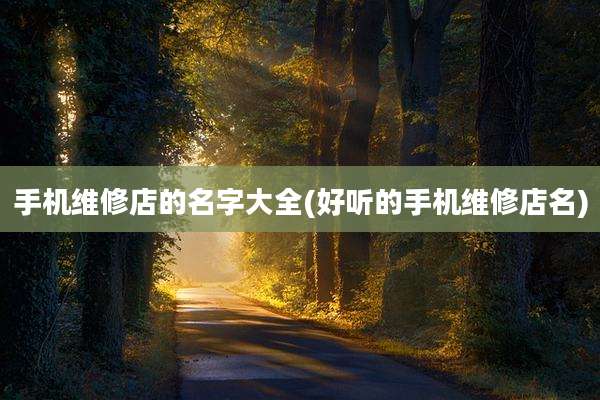 手机维修店的名字大全(好听的手机维修店名)