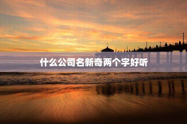 什么公司名新奇两个字好听