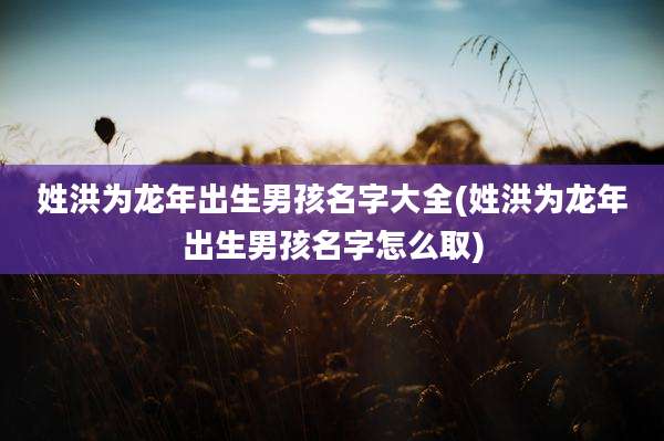 姓洪为龙年出生男孩名字大全(姓洪为龙年出生男孩名字怎么取)