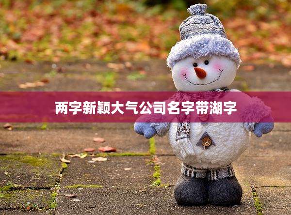 两字新颖大气公司名字带湖字