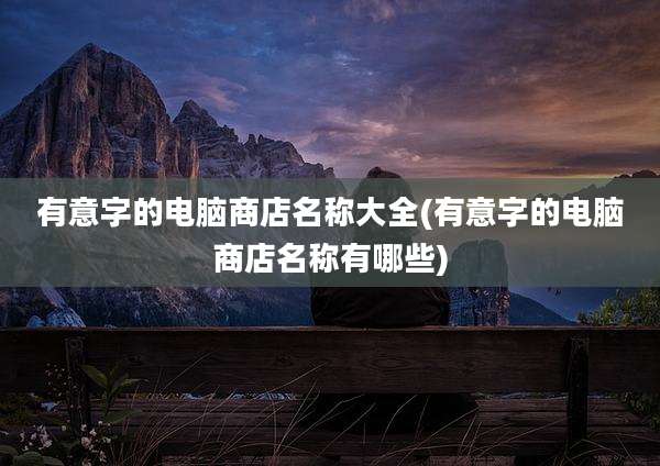 有意字的电脑商店名称大全(有意字的电脑商店名称有哪些)