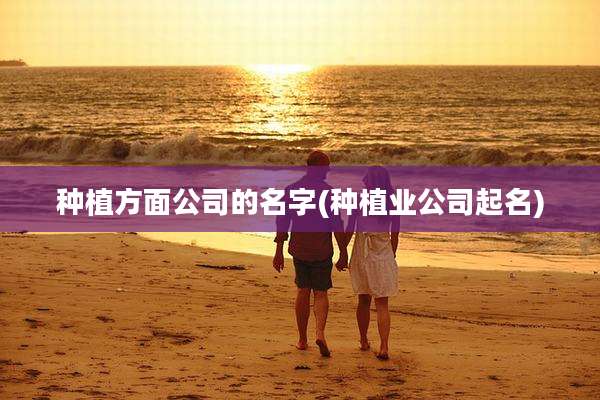 种植方面公司的名字(种植业公司起名)