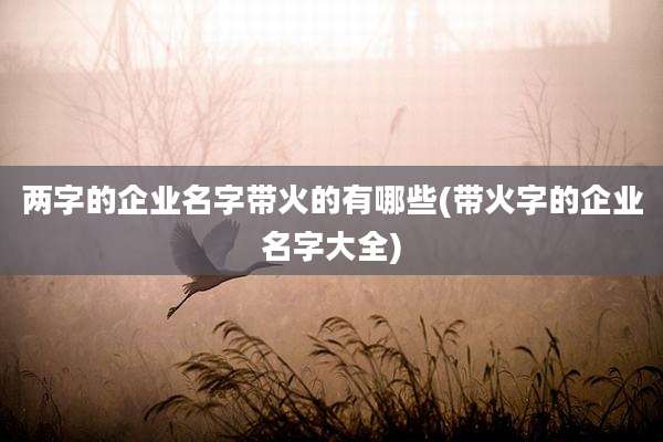 两字的企业名字带火的有哪些(带火字的企业名字大全)