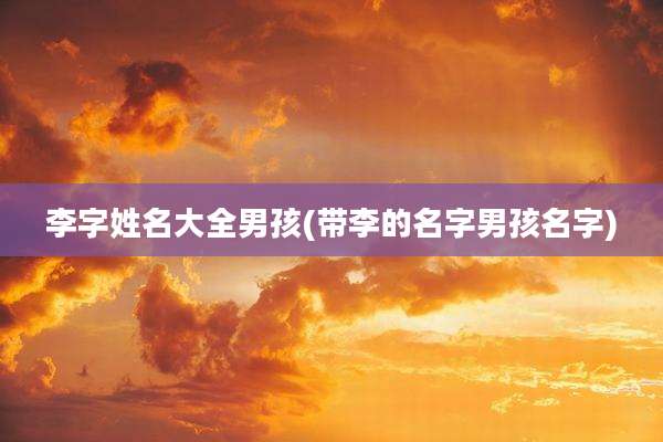 李字姓名大全男孩(带李的名字男孩名字)