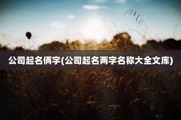 公司起名俩字(公司起名两字名称大全文库)