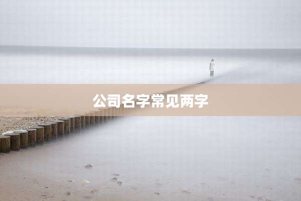 公司名字常见两字