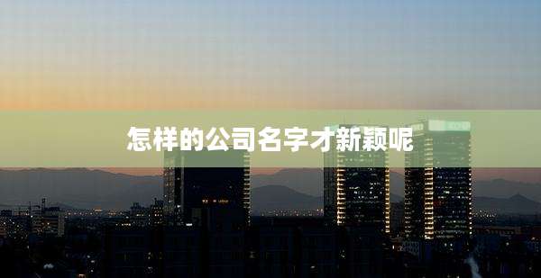 怎样的公司名字才新颖呢