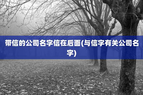 带信的公司名字信在后面(与信字有关公司名字)