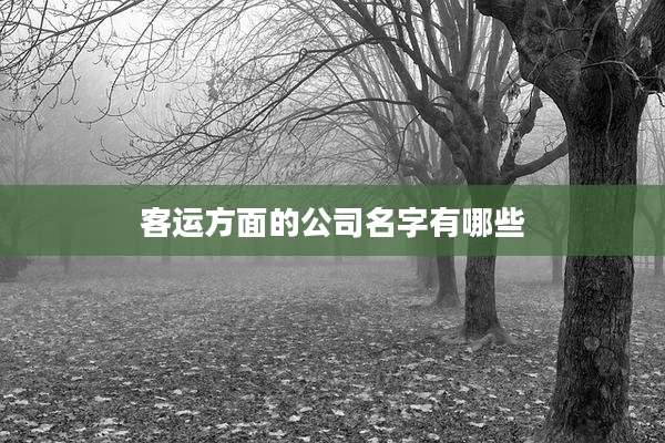 客运方面的公司名字有哪些