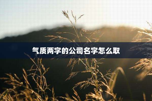 气质两字的公司名字怎么取