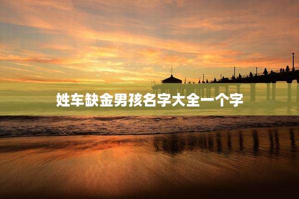 姓车缺金男孩名字大全一个字