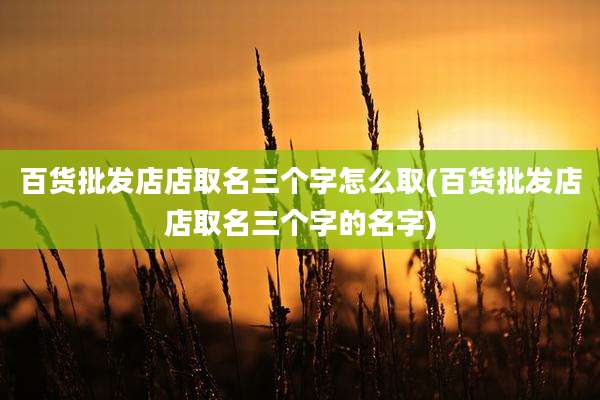 百货批发店店取名三个字怎么取(百货批发店店取名三个字的名字)