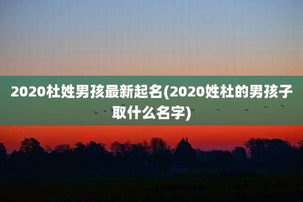2020杜姓男孩最新起名(2020姓杜的男孩子取什么名字)