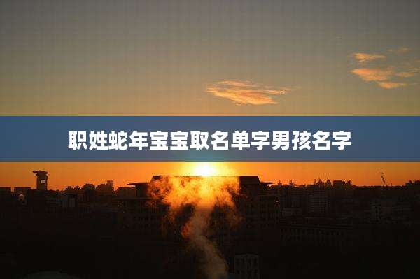 职姓蛇年宝宝取名单字男孩名字