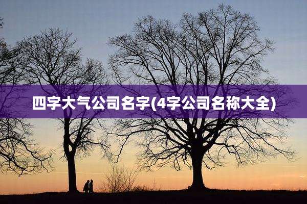 四字大气公司名字(4字公司名称大全)