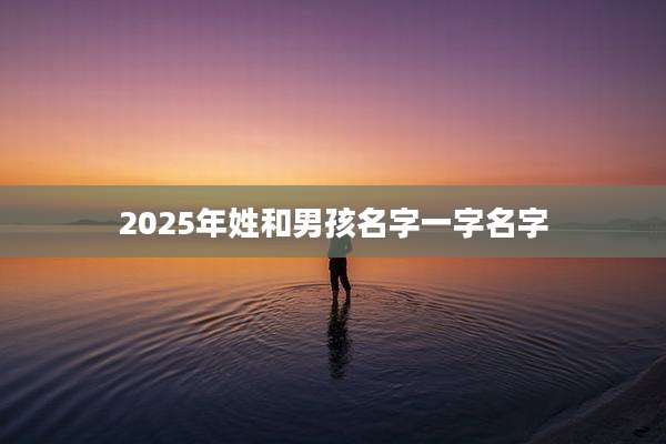 2025年姓和男孩名字一字名字