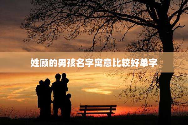 姓顾的男孩名字寓意比较好单字