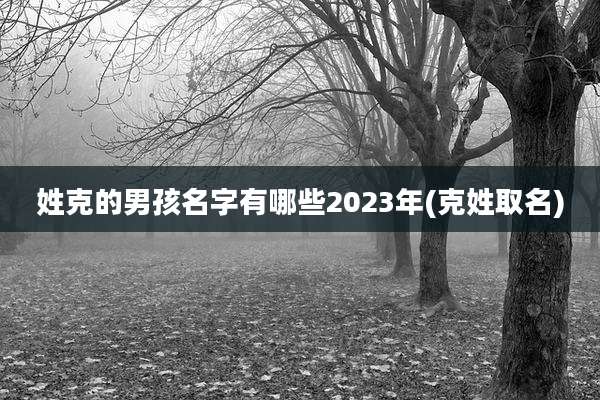 姓克的男孩名字有哪些2023年(克姓取名)