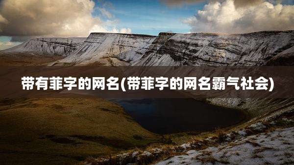 带有菲字的网名(带菲字的网名霸气社会)