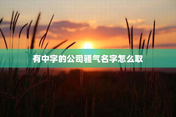 有中字的公司骚气名字怎么取