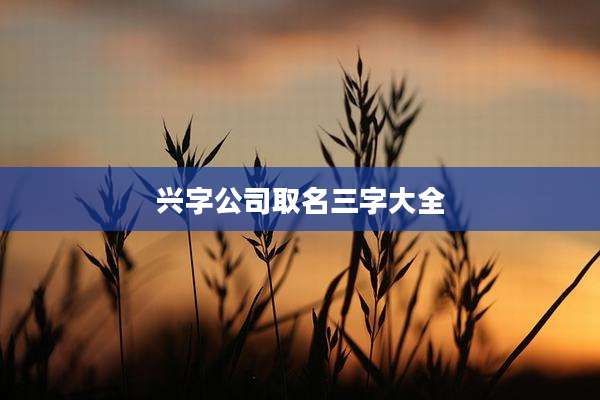 兴字公司取名三字大全