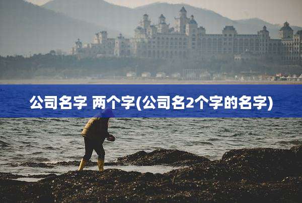 公司名字 两个字(公司名2个字的名字)