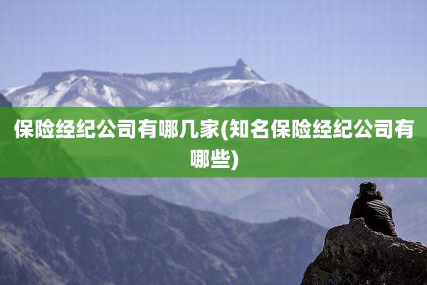 保险经纪公司有哪几家(知名保险经纪公司有哪些)