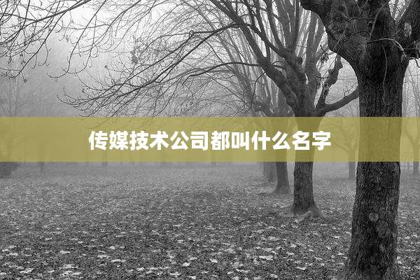 传媒技术公司都叫什么名字