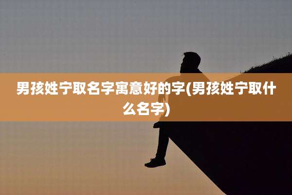 男孩姓宁取名字寓意好的字(男孩姓宁取什么名字)