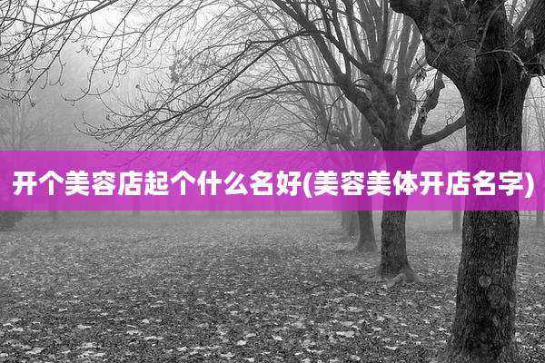 开个美容店起个什么名好(美容美体开店名字)