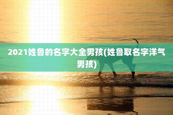 2021姓鲁的名字大全男孩(姓鲁取名字洋气男孩)