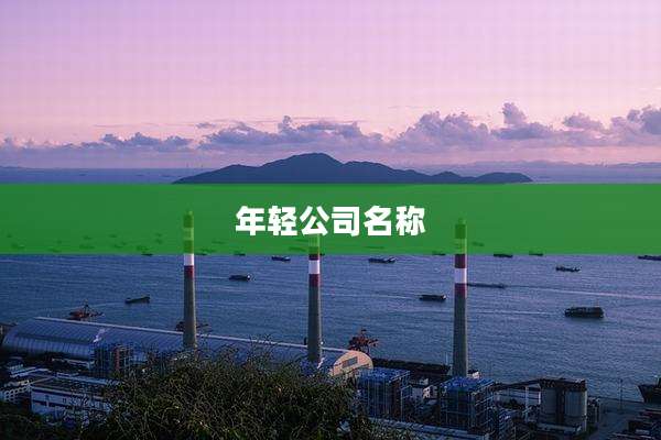 年轻公司名称