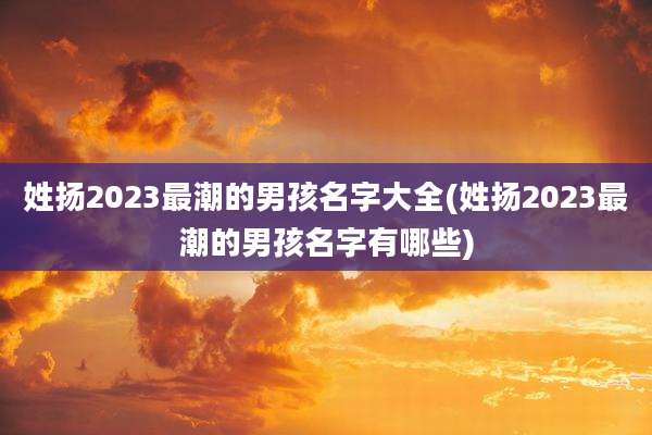 姓扬2023最潮的男孩名字大全(姓扬2023最潮的男孩名字有哪些)