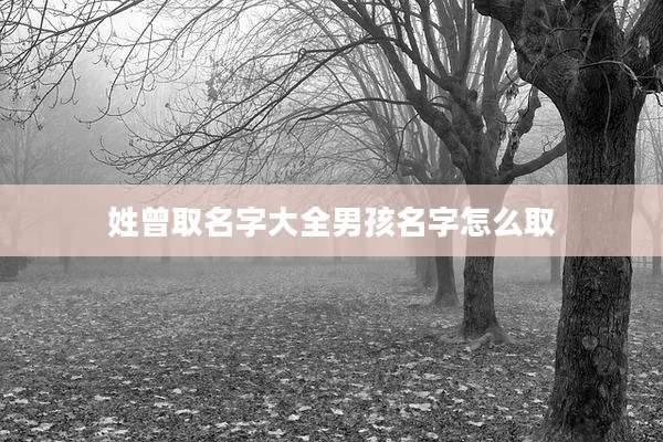 姓曾取名字大全男孩名字怎么取